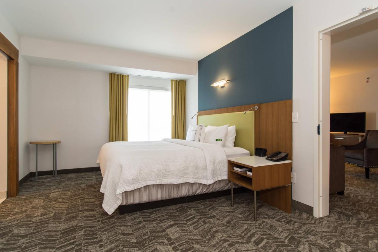 Springhill Suites By Marriott Charlotte Ballantyne Ngoại thất bức ảnh